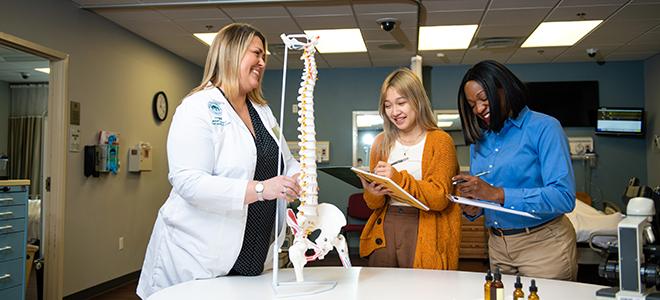 Occupational therapy students study the human body